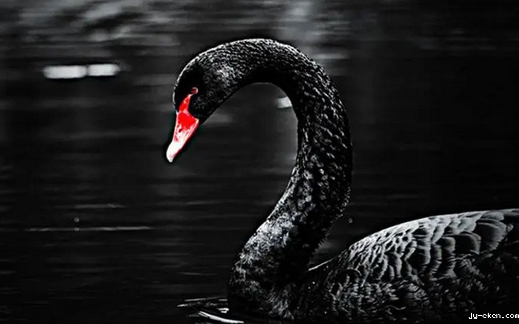 疫情下比黑天鹅更可怕的，是我们对5S净水器的视而不见